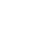 Fastspin